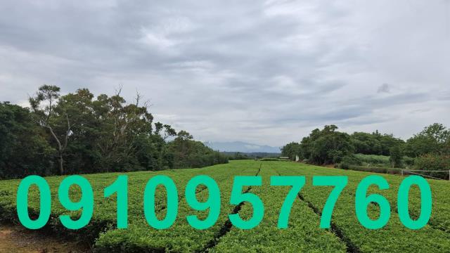 桃園殯葬用地-1