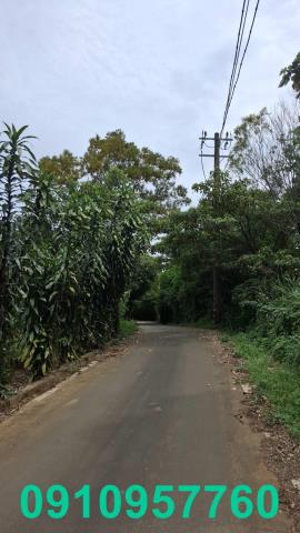 桃園殯葬用地-3