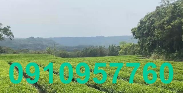 桃園龍潭農地-0