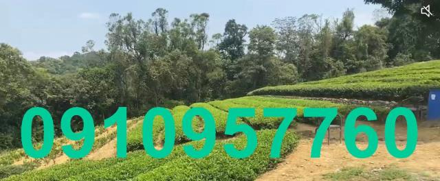 桃園龍潭農地-1