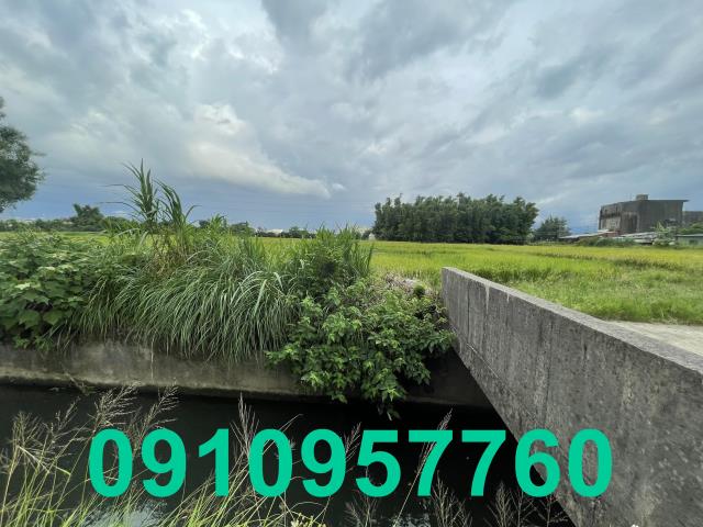楊梅農地-4
