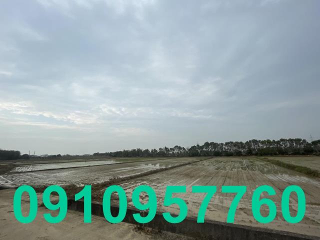 楊梅農地-0