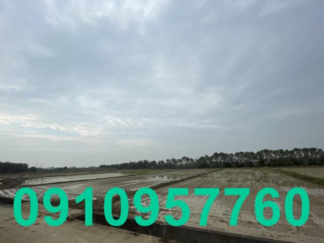楊梅農地-2