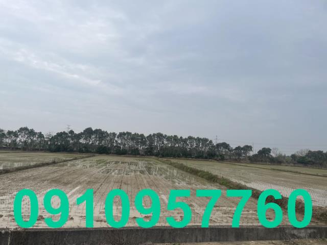 楊梅農地-4