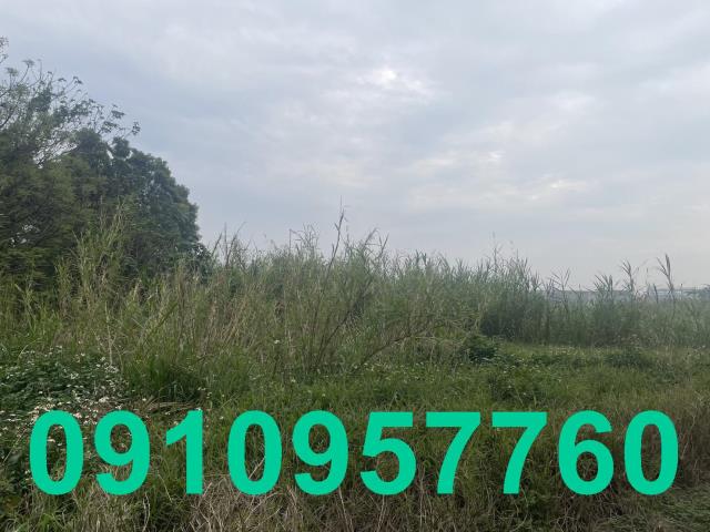 楊梅農地-5