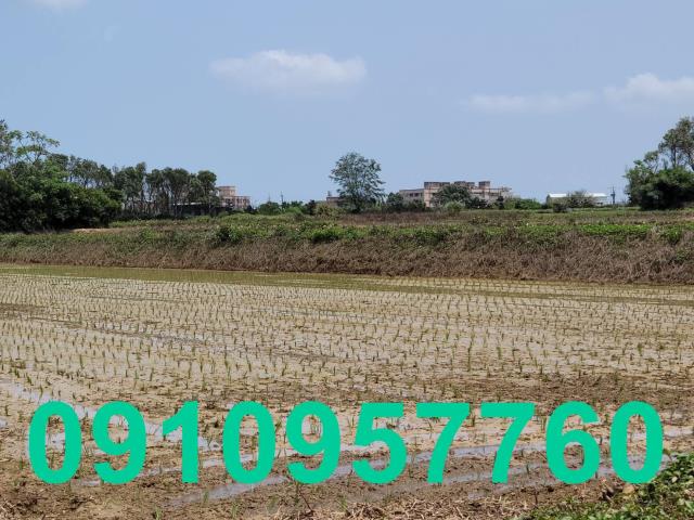 觀音農地-3