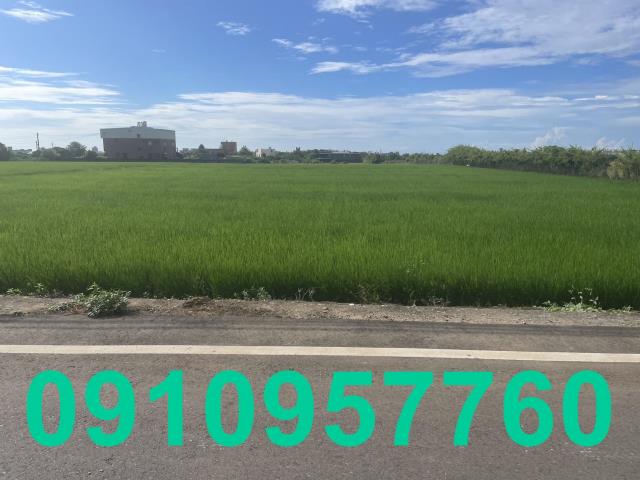 桃園觀音農地-1