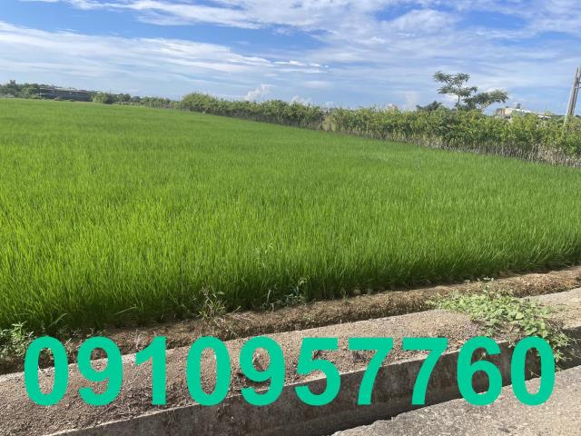 桃園觀音農地-2