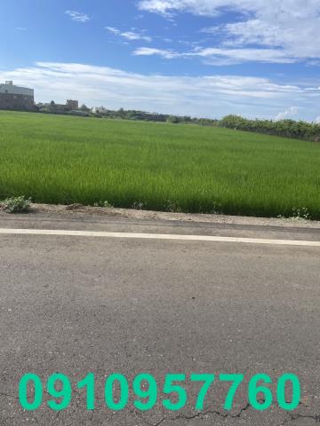 桃園觀音農地-3