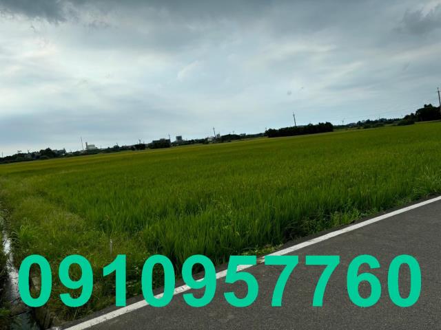 桃園觀音農地-1