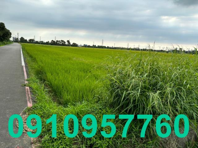 桃園觀音農地-3