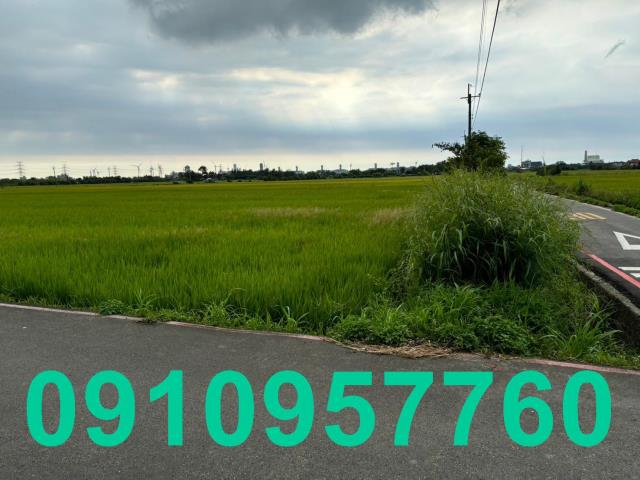 桃園觀音農地-2