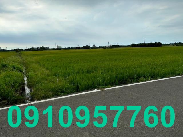 桃園觀音農地-4